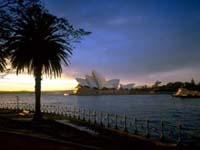 Sydney_harbour.jpg